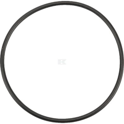Pierścień uszczelniający o-ring OR679526290P001 | Exvi