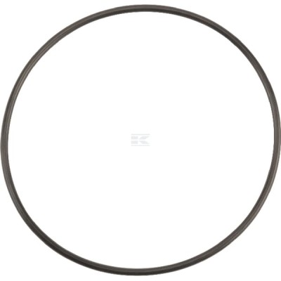 Pierścień uszczelniający o-ring OR885726290P001 | Exvi