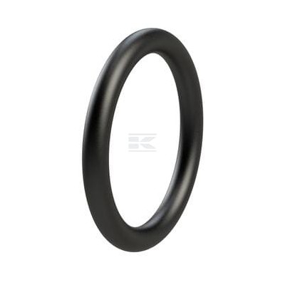Pierścień uszczelniający o-ring OR10950550P001 | Exvi