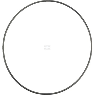 Pierścień uszczelniający o-ring OR1393726290P001 | Exvi