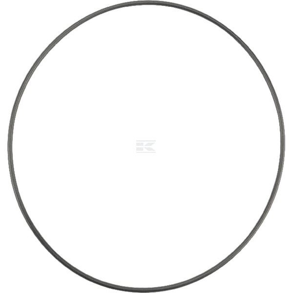 Pierścień uszczelniający o-ring OR1393726290P001 | Exvi