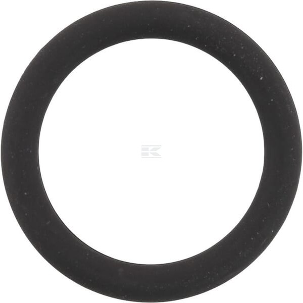 Pierścień uszczelniający o-ring 15x2.5 OR15250VP010 | Exvi