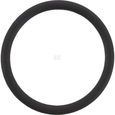 Pierścień uszczelniający o-ring 20x2 mm OR202VP010 | Exvi