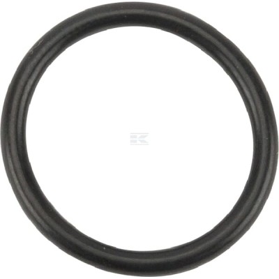 Pierścień uszczelniający o-ring OR222226290P010 | Exvi
