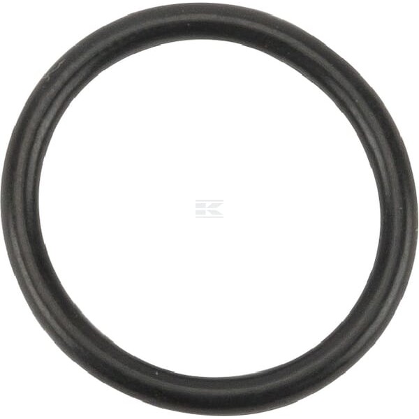 Pierścień uszczelniający o-ring OR222226290P010 | Exvi