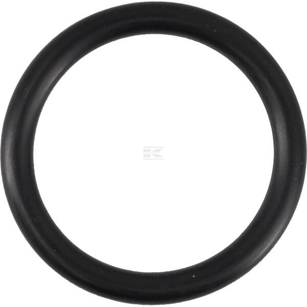 Pierścień uszczelniający o-ring 29x4 mm 75 OR294P010 | Exvi