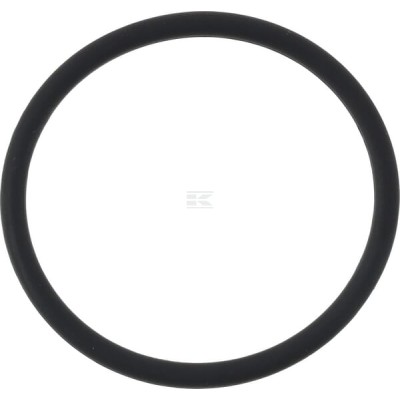 Pierścień uszczelniający o-ring OR3460262VP010 | Exvi