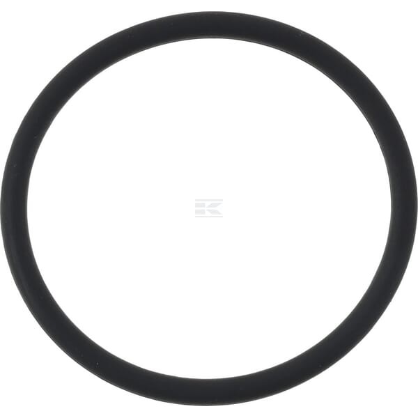 Pierścień uszczelniający o-ring OR3460262VP010 | Exvi