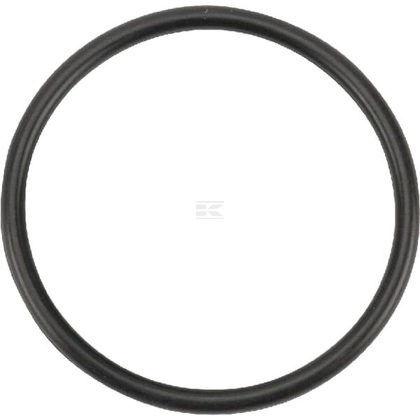 Pierścień uszczelniający o-ring OR377726290P010 | Exvi