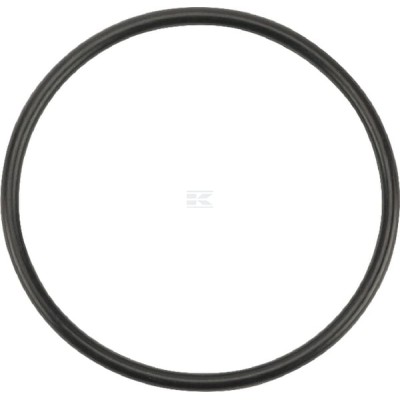 Pierścień uszczelniający o-ring OR489026290P010 | Exvi