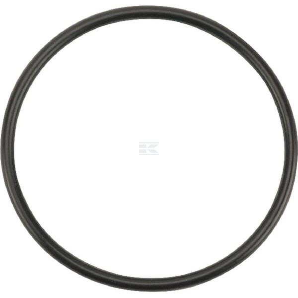 Pierścień uszczelniający o-ring OR489026290P010 | Exvi