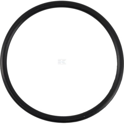 Pierścień uszczelniający o-ring 49x3 mm 75 OR493P010 | Exvi