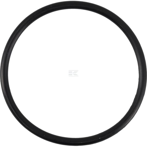 Pierścień uszczelniający o-ring 49x3 mm 75 OR493P010 | Exvi