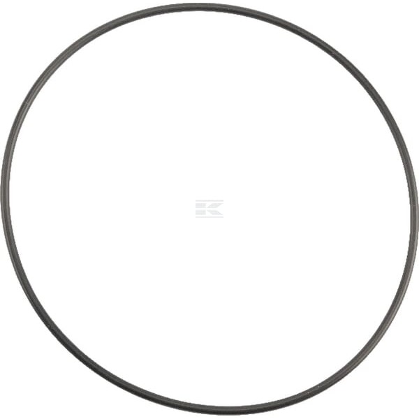 Pierścień uszczelniający o-ring OR1139726290P001 | Exvi