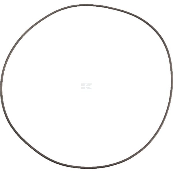 Pierścień uszczelniający o-ring OR1901726290P001 | Exvi