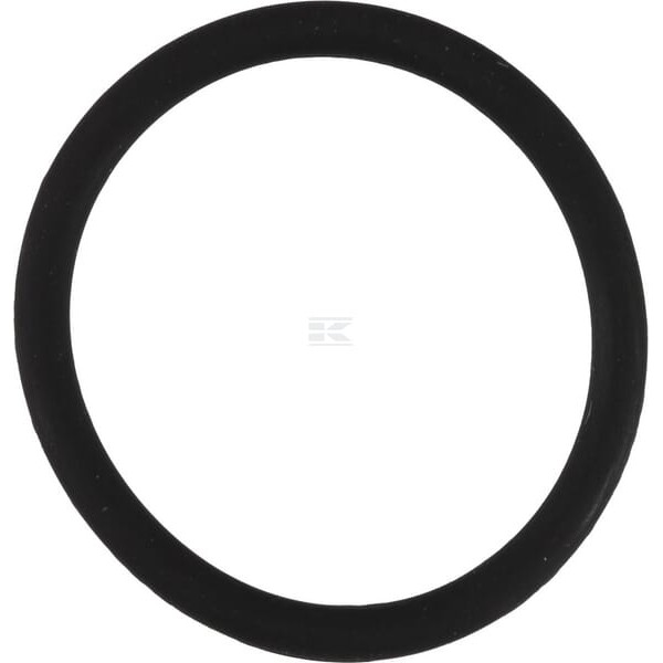 Pierścień uszczelniający o-ring 19x2 mm OR192VP010 | Exvi