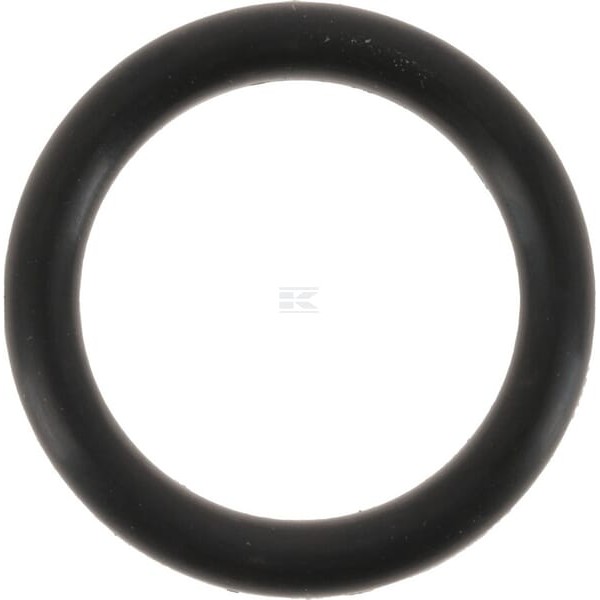 Pierścień uszczelniający o-ring OR2450450P010 | Exvi