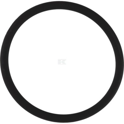Pierścień uszczelniający o-ring 26x2 mm OR262VP010 | Exvi