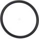 Pierścień uszczelniający o-ring 32x2.5 OR3225090P010 | Exvi
