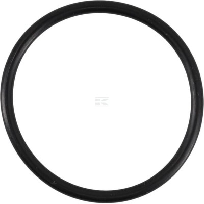 Pierścień uszczelniający o-ring OR3450250P010 | Exvi