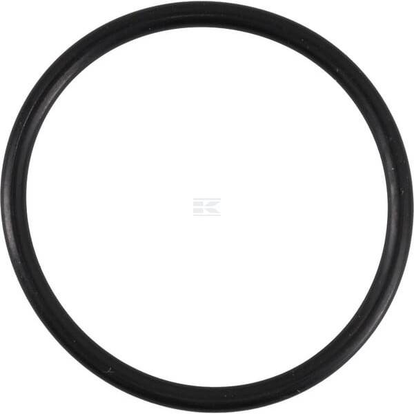 Pierścień uszczelniający o-ring OR3450250P010 | Exvi