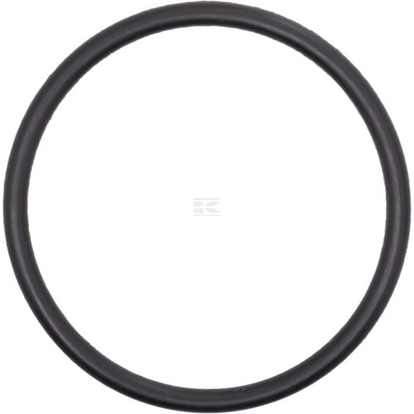 Pierścień uszczelniający o-ring 43.69x3 OR43693P010 | Exvi