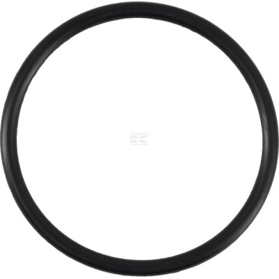 Pierścień uszczelniający o-ring 44.5x3 OR44503P010 | Exvi
