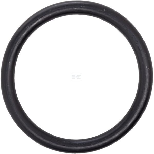 Pierścień uszczelniający o-ring OR469953390P010 | Exvi
