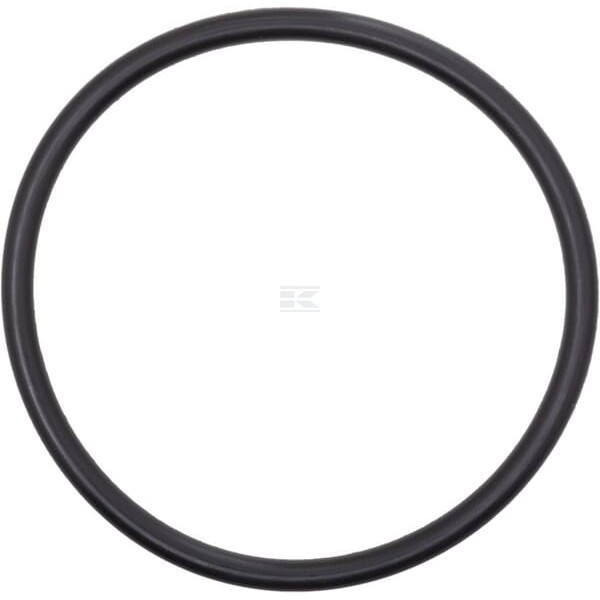 Pierścień uszczelniający o-ring OR4940310P010 | Exvi