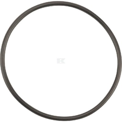 Pierścień uszczelniający o-ring OR584226290P001 | Exvi