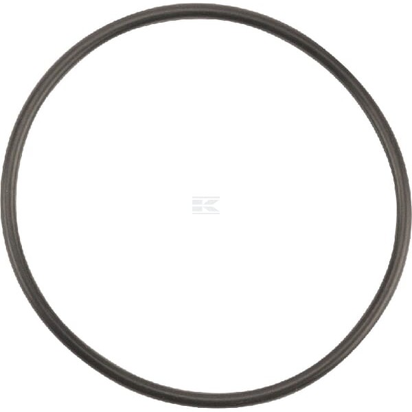 Pierścień uszczelniający o-ring OR584226290P001 | Exvi