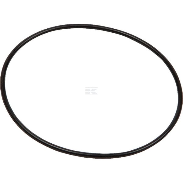 Pierścień uszczelniający o-ring OR600517890P001 | Exvi