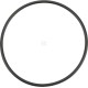 Pierścień uszczelniający o-ring OR695226290P001 | Exvi