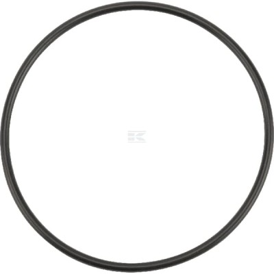 Pierścień uszczelniający o-ring OR695226290P001 | Exvi
