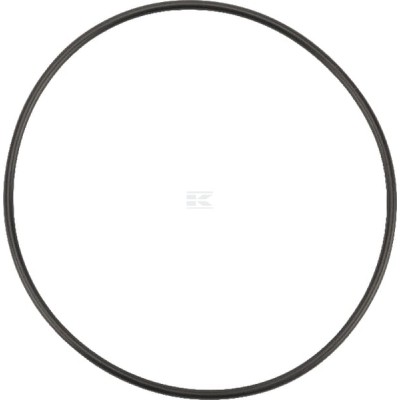Pierścień uszczelniający o-ring OR949226290P001 | Exvi