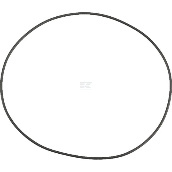 Pierścień uszczelniający o-ring 107.67x1.7 0207610 | Exvi