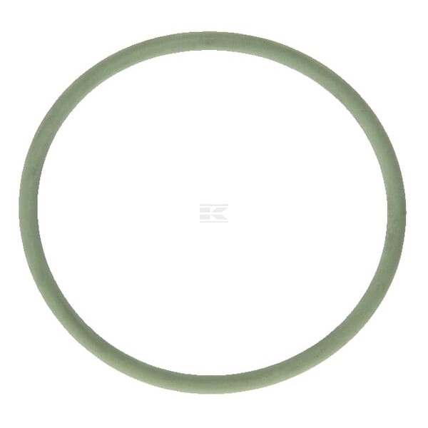 Pierścień uszczelniający o-ring 0286600 | Exvi