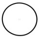 Pierścień uszczelniający o-ring 172.00x6.00 FC253 | Exvi