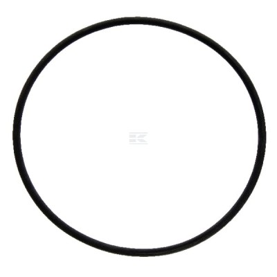 Pierścień uszczelniający o-ring 172.00x6.00 FC253 | Exvi