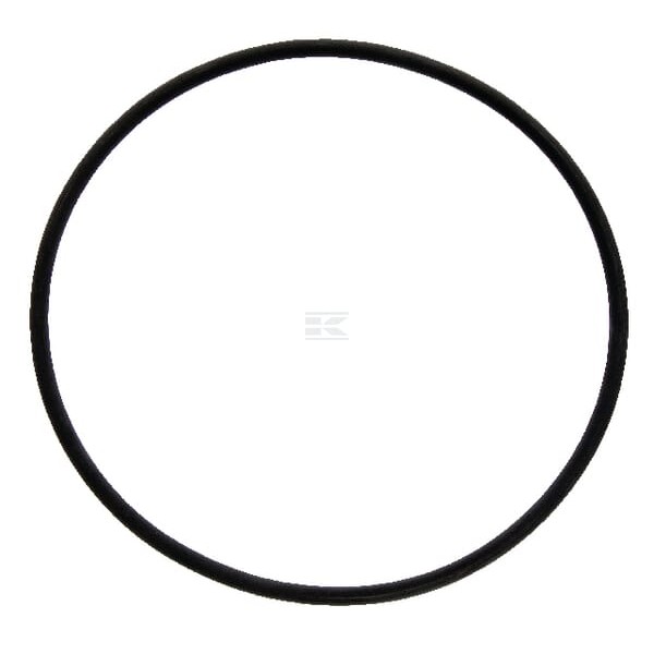 Pierścień uszczelniający o-ring 172.00x6.00 FC253 | Exvi