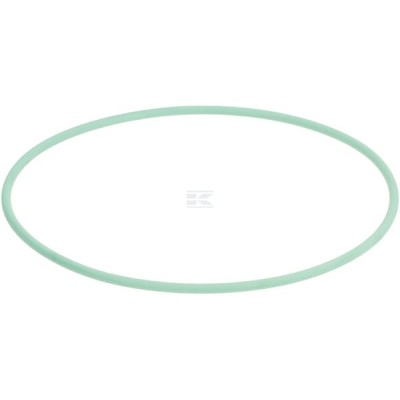 Pierścień uszczelniający o-ring 126.59 x 3.53 FC348 | Exvi