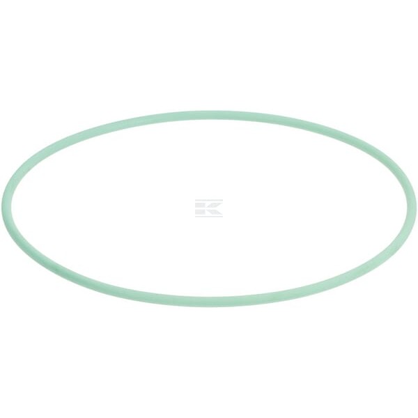 Pierścień uszczelniający o-ring 126.59 x 3.53 FC348 | Exvi