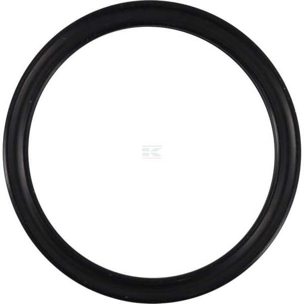 Pierścień x-ring 25.07x2.62 mm 75 XR2507262P010 | Exvi