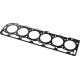 Uszczelka głowicy cylindra, New Holland 87801752 | Exvi