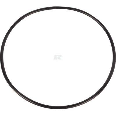 Pierścień uszczelniający o-ring 70924187 | Exvi
