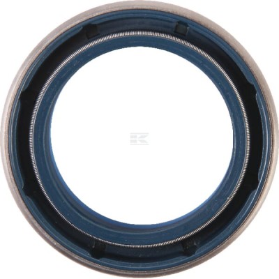 Pierścień uszczelniający 000051726 | Exvi