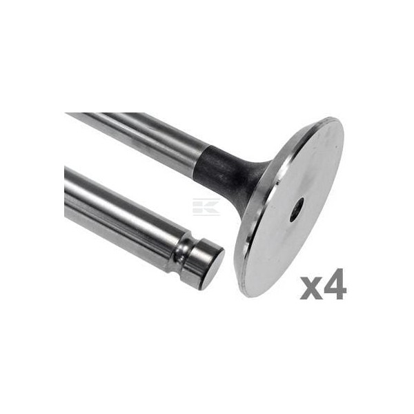 Zawór ssący Vapormatic (x4) VPA1027 | Exvi