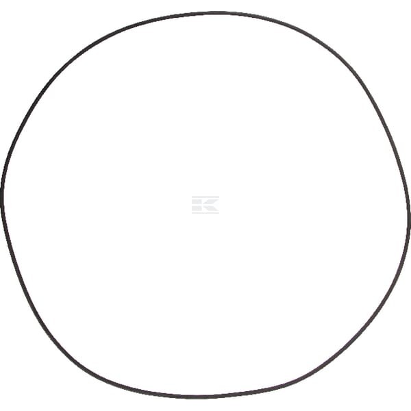 Pierścień uszczelniający o-ring 001053338 | Exvi