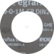 Uszczelka DN 50 10125320050GP | Exvi