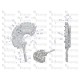 Prostownik alternatora 100211-6420EX 021580-3990EX | Exvi